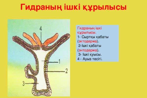 Кракен сообщество