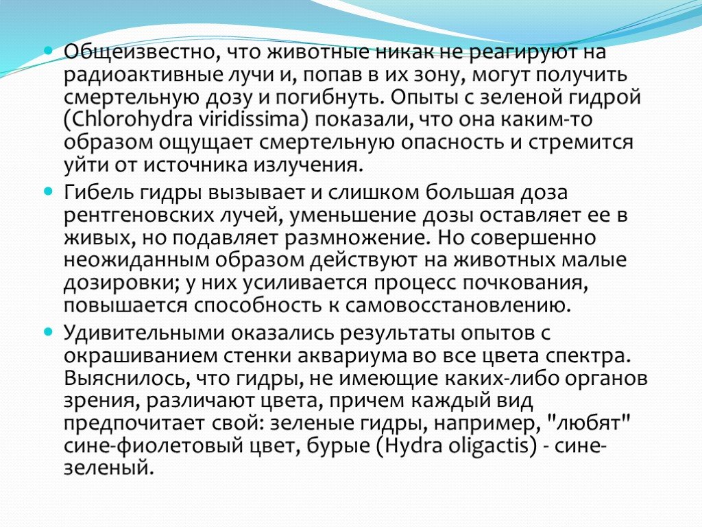 Кракен тор зеркало
